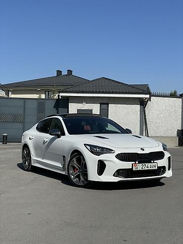 k7 2017: Kia Stinger: 2019 г., 2 л, Автомат, Бензин, Лифтбек — 1