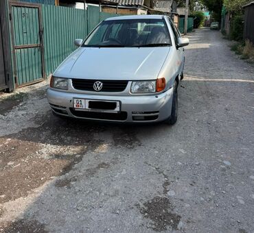 машина маленький: Volkswagen Polo: 2000 г., 1.6 л, Автомат, Бензин