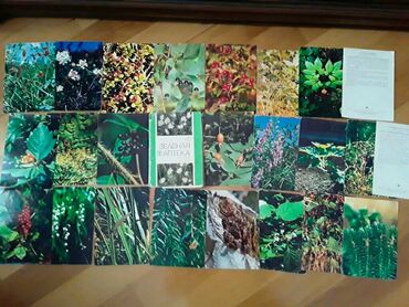 Açıqcalar: 2 штуки-1 манат.Советские открытки. Есть еще открытки, марки — 9