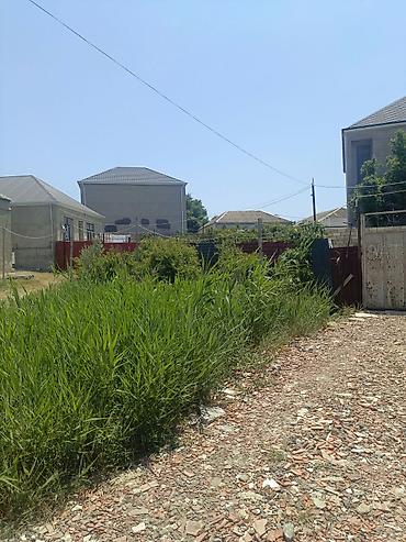 Daşınmaz əmlak: Salam yeni Bulbule trasa 5deqiqlik mesafede yerlesir yolu asflat Sened — 2