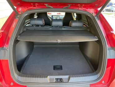 Tesla: Tesla : 2022 г., Электромобиль, Кроссовер — 5