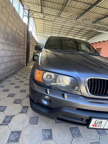 BMW: BMW X5: 2003 г., 3 л, Автомат, Дизель, Кроссовер — 3