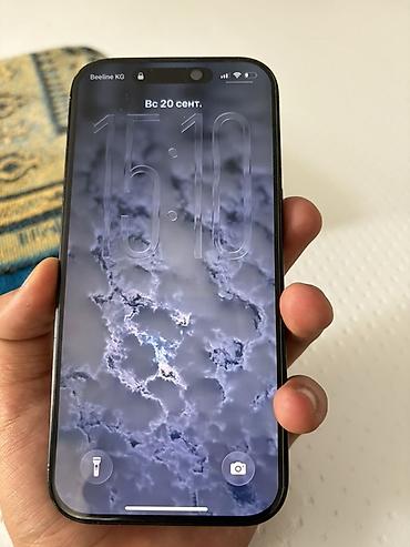 kvm switch: IPhone 16 Pro, Б/у, 256 ГБ, Черный, Наушники, Защитное стекло, 91 % — 2