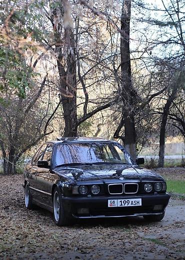 BMW 5 series: 1989 г., 4.6 л, Механика, Бензин, Седан