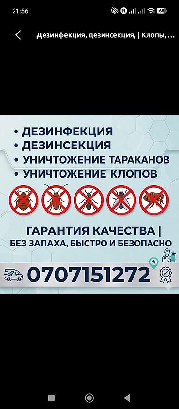 Дезинфекциялоо, дезинсекциялоо: Дезинфекциялоо, дезинсекциялоо, | Таракандар, | Батирлер — 4