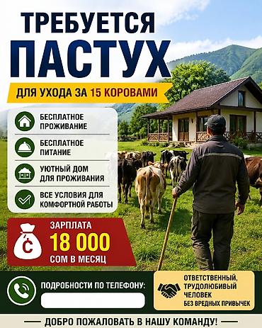 Работа: Требуется Пастух, Оплата: Ежемесячно, Питание — 1