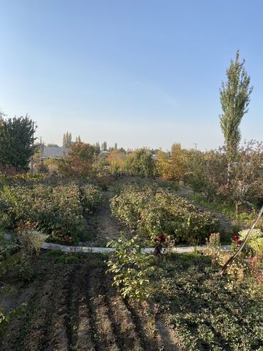 Продажа домов: Дача, 55 м², 5 комнат, Старый ремонт — 21