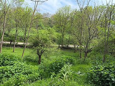 qusar rayonu: 10 sot, Tikinti, Mülkiyyətçi, Kupça (Çıxarış) — 5