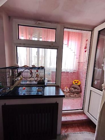 2 уровне: 3 комнаты, 63 м², Индивидуалка, 2 этаж, Евроремонт — 5