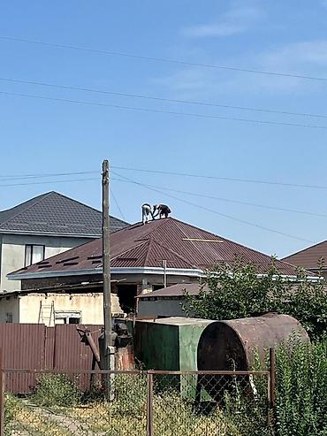 Кровля крыши: Крыша жабабыз — 9