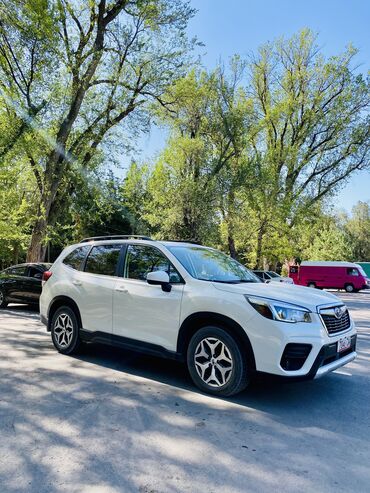 шевроле спарк 2017 цена: Subaru Forester: 2020 г., 2.5 л, Автоматтык, Бензин, Кроссовер