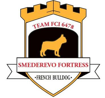 Psi: Odgajivačnica Francuskih Buldoga FCI 6478 Smederevo Fortress nudi na lalafo.rs — 10 Psi: Odgajivačnica Francuskih Buldoga FCI 6478 Smederevo Fortress nudi — 10