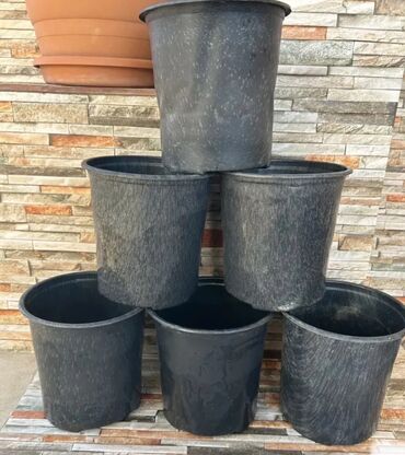 Bitkilər üçün dibçəklər: Plastik,kauçuk gül və dibçək qabları satılır. Cəmisi 60 — 3
