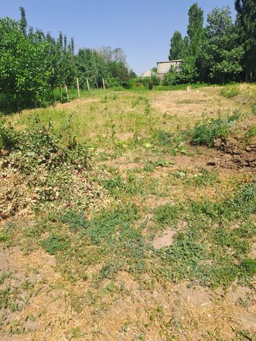 новопокровка дом продать: 5 соток, Кызыл китеп