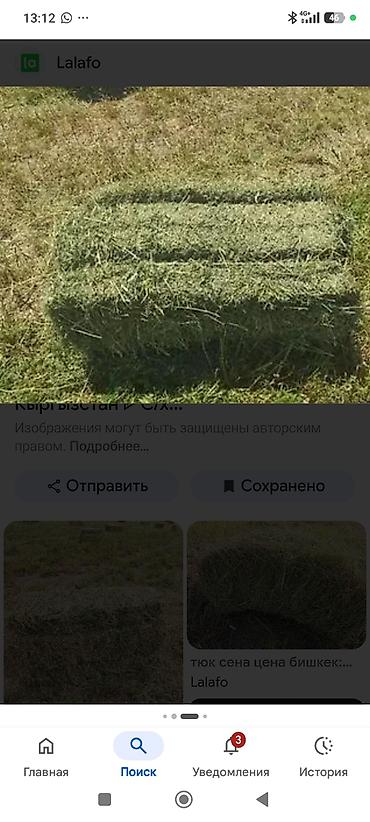 сено для кроликов: КУПЛЮ КУПЛЮ ТЮКИ,КЛЕВЕР С ПОЛЯ КУПЛЮ ТЮКИ ГОРНЫЙ СЕНО С ПОЛЯ - — 2