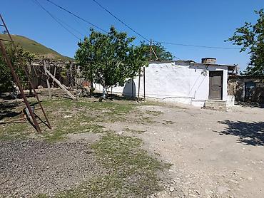gunluk bağ evləri bakı: Siyəzən, 12000 kv. m, 3 otaqlı, Kanalizasiya, Qaz, Su — 3