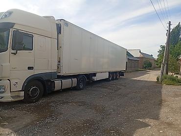 Тягачи: Тягач, DAF, 2019 г., Холодильник, рефрижератор — 7