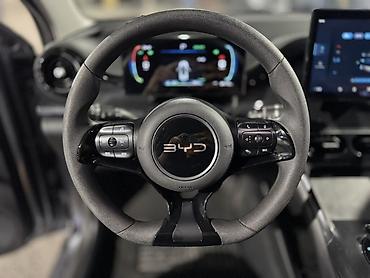 BYD: BYD E2: 2024 г., Автомат, Электромобиль, Хэтчбэк — 12