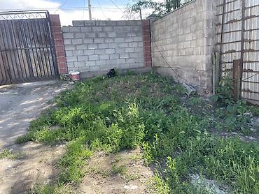 уборка огород: Уборка территории - Вывоз и утилизация мусора, старых досок, веток — 1