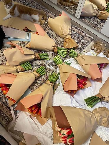 Букеты из живых цветов: ТЮЛЬПАНЫ ОПТОМ от 100шт Голландские привозные тюльпаны с луковицей — 11