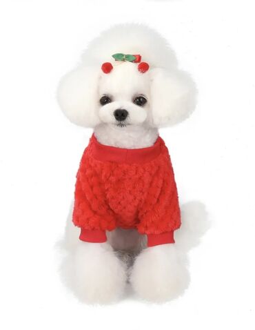 Зоотовары: Одежда для кошек и собак. Все НОВОЕ РАЗМЕР И ЦЕНА УКАЗАНЫ НА ФОТО — 12