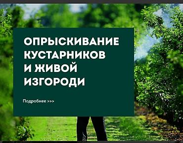 черна зем: Уборка территории, Уход за деревьями — 3