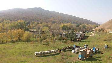goranboy torpaq: 580 sot, Kənd təsərrüfatı, Makler, Kupça (Çıxarış) — 9