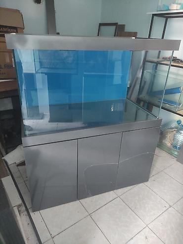 sobo wp 6001: Akvariumların və dolabların hazırlanması üçün müraciət edə bilərsiz — 4