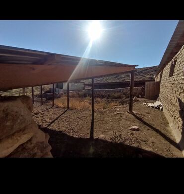 Другие товары для дома и сада: Продается действующий бизнес кашар вместе с садом для разведения скота — 14