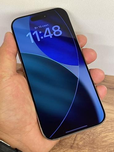 iphon 14: IPhone 16 Pro, Б/у, 256 ГБ, Серебристый, Чехол, Коробка, 90 % — 1
