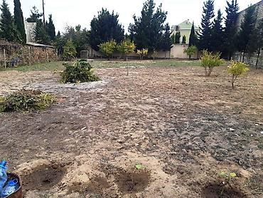 bilgəhdə: Bilgəh qəs. 6 otaqlı, 300 kv. m, Kredit yoxdur, Orta təmir — 7