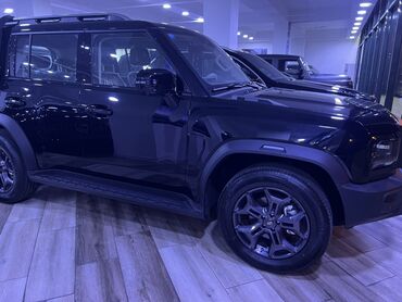 Jetour: Jetour Traveller (Jetour T-3) off-road SUV - Kuzov: 5 qapılı, qara — 3