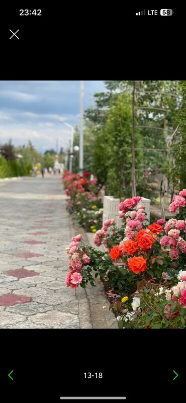 Иссык-Куль 2025: Коттедж, Клуб отель Париж-2 ЦО Париж, Чок-Тал, Детская площадка, Закрытый пляж, Охраняемая территория — 14