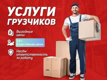 Портер, грузовые перевозки: Грузчик. 3-5 лет опыта