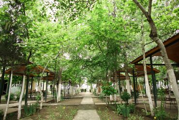 Kommersiya daşınmaz əmlakının satışı: Obyekt İstirahət Mərkəzi satılır 1 hektarda Hacıqabul İpək yolu — 7