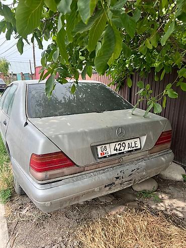 mersedes e class: Mercedes-Benz S-Class: 1995 г., 3.2 л, Автомат, Бензин, Седан — 1