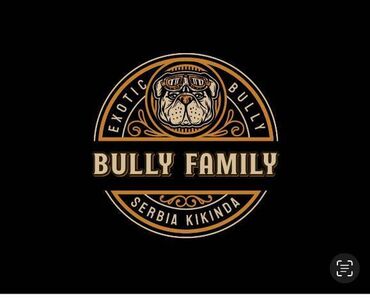 pomeranac cena srbija: American bully exotic štenci Dve prelepe ženke tipa exotic traže novi