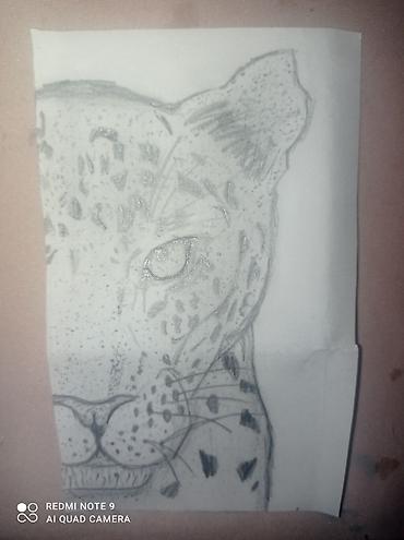 Картины: СРОЧНО! каждая картина по 100сом — 3