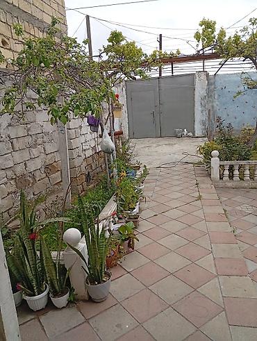 novxani restoranlar: 4 otaqlı, 120 kv. m, Orta təmir — 6