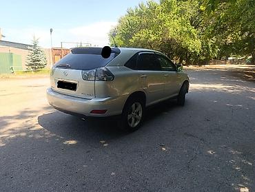 Lexus: Lexus RX: 2004 г., Кроссовер — 3