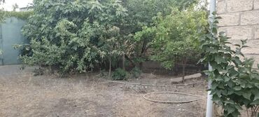 Həyət evləri və villaların satışı: 3 otaqlı, 120 kv. m, Kredit yoxdur, Orta təmir -da lalafo.az — 4 Həyət evləri və villaların satışı: 3 otaqlı, 120 kv. m, Kredit yoxdur, Orta təmir — 4