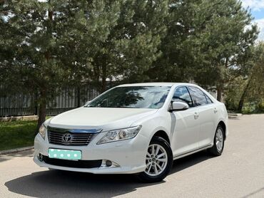 ленивец на даф: Сдаю в аренду: Легковое авто, Частная аренда