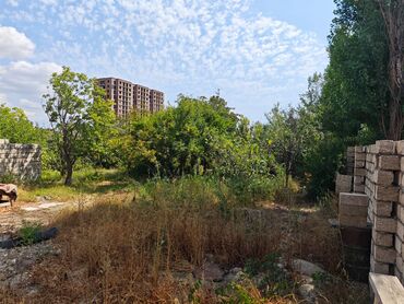 Torpaq sahələrinin satışı: 10 sot, Kənd təsərrüfatı, Mülkiyyətçi — 8