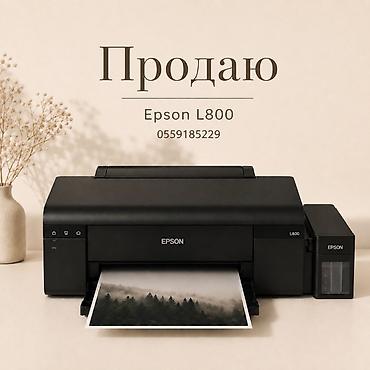 Принтеры: Epson L800 — фотопринтер с фирменной системой непрерывной подачи — 1