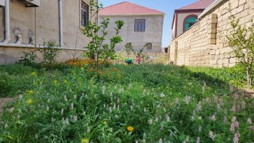 Həyət evləri və villaların satışı: 3 otaqlı, 130 kv. m, Kredit var, Yeni təmirli -da lalafo.az — 10 Həyət evləri və villaların satışı: 3 otaqlı, 130 kv. m, Kredit var, Yeni təmirli — 10