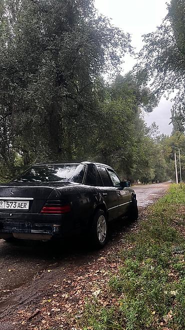 Продажа авто: Mercedes-Benz E-Class: 1994 г., 3.2 л, Автомат, Бензин, Седан — 1
