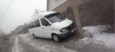 мерс лупарик белый: Mercedes-Benz Sprinter: 2002 г., 2.9 л, Механика, Дизель, Бус