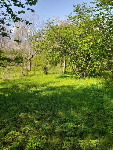 Torpaq sahələrinin satışı: 30 sot, Kənd təsərrüfatı, Mülkiyyətçi, Kupça (Çıxarış) -da lalafo.az — 3 Torpaq sahələrinin satışı: 30 sot, Kənd təsərrüfatı, Mülkiyyətçi, Kupça (Çıxarış) — 3