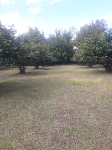 Torpaq sahələrinin satışı: 20 sot, Tikinti, Mülkiyyətçi, Kupça (Çıxarış), Müqavilə — 12