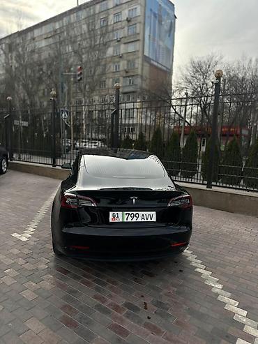 Tesla: Tesla Model 3: 2019 г., Электромобиль, Седан — 6